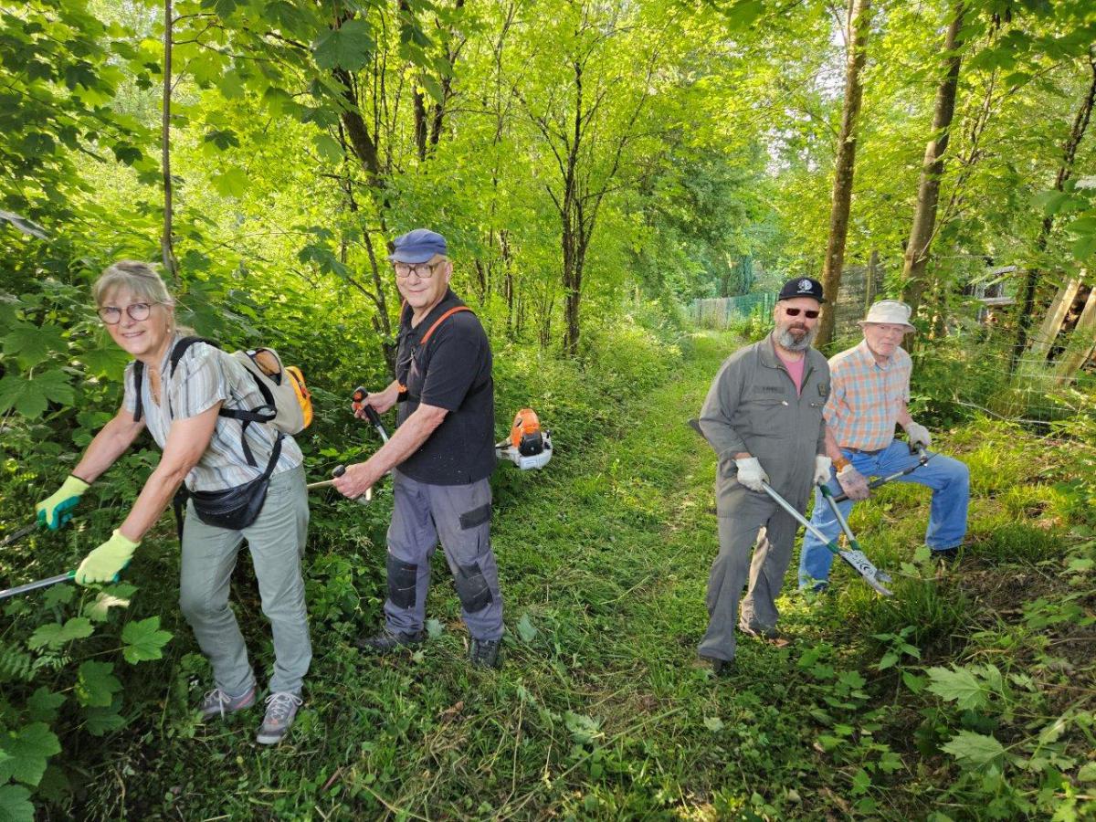 les 11 photos de la journée débroussaillage